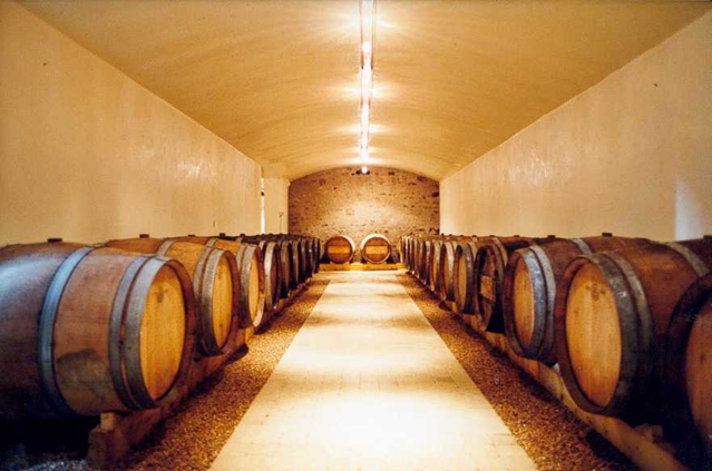 le bio guide Laurent Chatenay vigneron, vins de Loire
